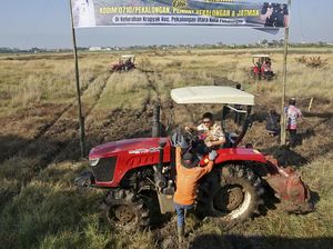 Sempat Terendam Air Rob, Lahan Pertanian di Pekalongan Ini Aktif Lagi Sempat Terendam Air Rob, Lahan Pertanian di Pekalongan Ini Aktif Lagi