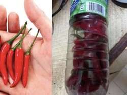 Tips Praktis Simpan Cabe agar Awet Segar Berbulan-bulan