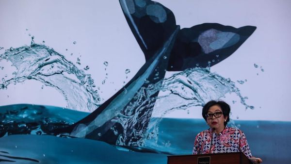 Upaya Mengakhiri Polusi Plastik di Indonesia