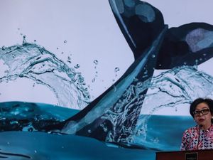 Upaya Mengakhiri Polusi Plastik di Indonesia Upaya Mengakhiri Polusi Plastik di Indonesia