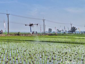 Kala Petani Ciparay Dikenalkan Teknologi Pemupukan Pakai Drone