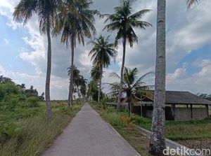 3 Lokasi Estetik di Sleman Barat, Berburu Foto Apik Sambil Healing Tipis-tipis