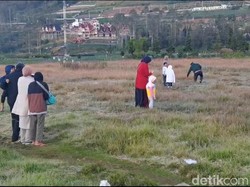 Wisatawan Heran Lihat Embun Beku Dieng: Masih di Jawa tapi Ada Es