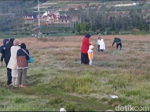 Wisatawan Heran Lihat Embun Beku Dieng: Masih di Jawa tapi Ada Es Wisatawan Heran Lihat Embun Beku Dieng: Masih di Jawa tapi Ada Es