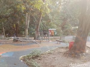 Healing Tipis-tipis di Hutan Kota Srengseng, Ternyata Dulu TPA Healing Tipis-tipis di Hutan Kota Srengseng, Ternyata Dulu TPA