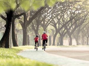 Kualitas Udara Jadi Perhatian, Kawasan Ini Siapkan 5 Ha Area Hijau