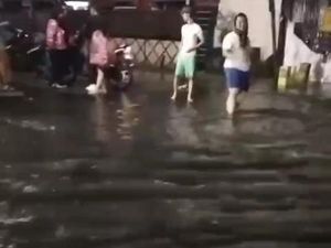 Hujan Disertai Angin Terjang Medan, Jalanan Banjir-Sejumlah Pohon Tumbang