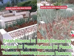 Heboh Makam Ditanami Daun Bawang, Bagaimana Hukumnya?