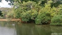 Oase di Tengah Jakarta Itu Bernama Hutan Kota Srengseng