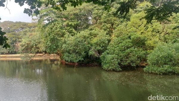 Oase di Tengah Jakarta Itu Bernama Hutan Kota Srengseng