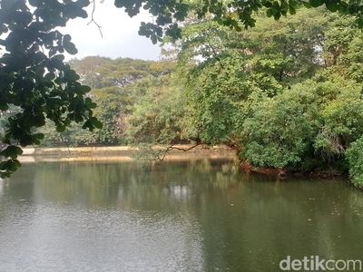 Oase di Tengah Jakarta Itu Bernama Hutan Kota Srengseng