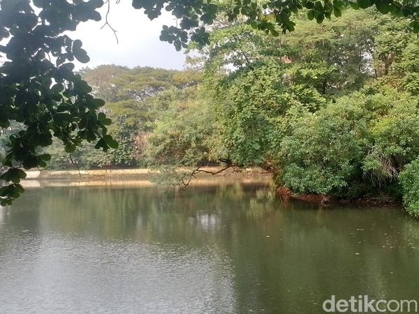 Oase di Tengah Jakarta Itu Bernama Hutan Kota Srengseng