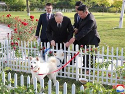 Berkunjung ke Korut, Putin Dihadiahi Kim Jong Un Sepasang Anjing Pungsan