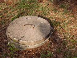 Horor! Septic Tank Rumah di Cibitung Jadi Sarang 13 Ular, Begini Cara Cegahnya