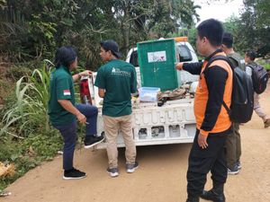 Siamang yang Bikin Resah Warga Akhirnya Dievakuasi BPBD Muba