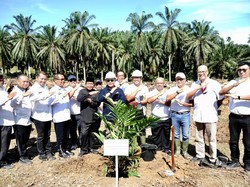 PTPN IV PalmCo Gercep Tanam Ulang 107 Ha Kebun Sawit