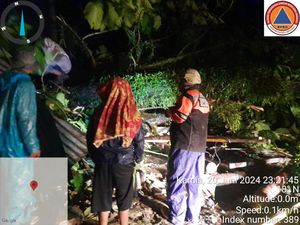 Pohon Timpa Bengkel di Deli Serdang, Anak-Ibu Tewas