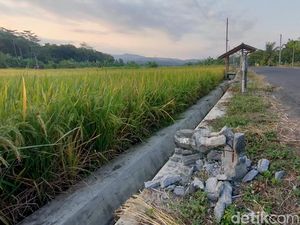 Viral Patok Jalan di Kulon Progo Dirusak-Besi Dicolong