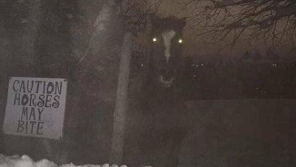 10 Foto yang Sebenarnya Biasa Aja, tapi Mungkin Bisa Bikin Merinding