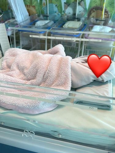 6 Momen Detik-detik Larissa Chou Melahirkan Anak Kedua