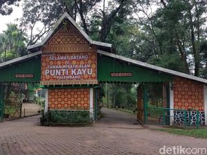 Dulu Taman Satwa Primadona, Begini Kondisi Punti Kayu Palembang Saat Ini Dulu Taman Satwa Primadona, Begini Kondisi Punti Kayu Palembang Saat Ini