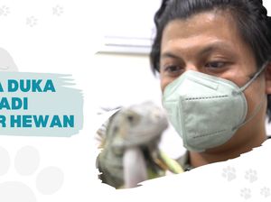 Mengulik Profesi Dokter Hewan yang Kerap Dipandang Sebelah Mata Mengulik Profesi Dokter Hewan yang Kerap Dipandang Sebelah Mata