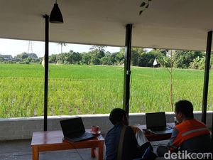 Sensasi Ngafe dengan Pemandangan Sawah di Cirebon yang Bikin Betah