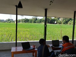 Sensasi Ngafe dengan Pemandangan Sawah di Cirebon yang Bikin Betah