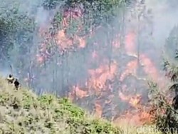 Kebakaran Gunung Batok Kawasan Bromo Terjadi Bersamaan dengan Yadnya Kasada