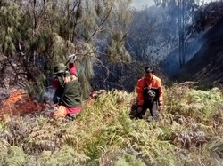 Kebakaran Gunung Batok Kawasan Bromo Meluas hingga Sisi Probolinggo