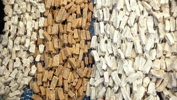10 Keju Paling Ekstrem di Dunia, Pakai Belatung hingga ASI
