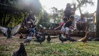 Kerja Keras Jabar Menjadi Provinsi Layak Anak