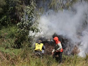 TNBTS Beber Kronologi Kebakaran Gunung Batok di Kawasan Bromo TNBTS Beber Kronologi Kebakaran Gunung Batok di Kawasan Bromo