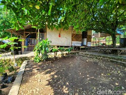 Kisah Pria Bandung Kecanduan Judi Online, Gangguan Jiwa dan Ditinggal Keluarga