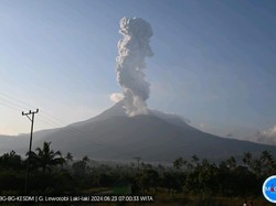Cerita di Balik Teriakan Warga Lereng Gunung Lewotobi Saat Erupsi