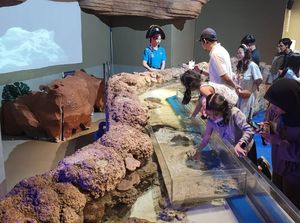 2.000 Orang per Hari Padati Wisata Akuarium Jakarta Ini 2.000 Orang per Hari Padati Wisata Akuarium Jakarta Ini