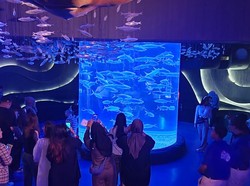 Tiket Mulai Rp 150 Ribu, 2.000 Orang Padati Aquarium Mal Jakarta Ini Tiap Hari