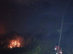 Satu Hektare Lahan di Dekat Tol Palindra Ogan Ilir Hangus Terbakar