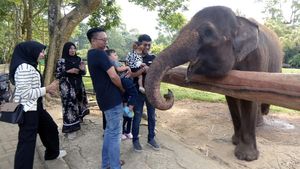 Pengunjung Taman Margasatwa Lembah Hijau Melonjak di Hari Libur Sekolah