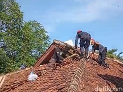 Ular Sanca 2 Meter Bertengger di Atap Gedung, Gigit Petugas Saat Dievakuasi