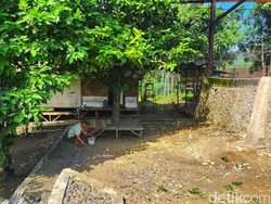 Judi Online Bikin Pria Ini Kehilangan Segalanya hingga Gangguan Jiwa