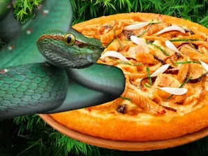 5 Makanan Ini Diracik dengan Daging Ular, Pizza hinggs Abon 5 Makanan Ini Diracik dengan Daging Ular, Pizza hinggs Abon