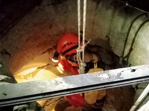 2 Biawak Nyemplung Sumur 15 Meter di Playen, Evakuasi Dibantu Damkar 2 Biawak Nyemplung Sumur 15 Meter di Playen, Evakuasi Dibantu Damkar