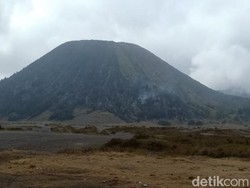 TNBTS Hati-hati Selidiki Penyebab Kebakaran Gunung Batok Pasuruan
