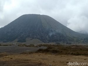 TNBTS Hati-hati Selidiki Penyebab Kebakaran Gunung Batok Pasuruan TNBTS Hati-hati Selidiki Penyebab Kebakaran Gunung Batok Pasuruan