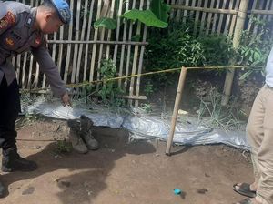 Granat Nanas Meledak, 4 Warga Garut Terluka Granat Nanas Meledak, 4 Warga Garut Terluka