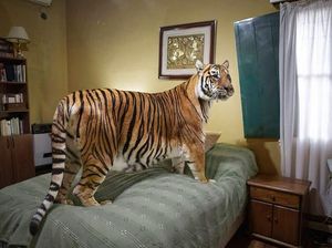 Karya Menakjubkan Jawara 1839 Awards