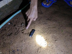 Geger Teror Macan Tutul di Gunung Sawal Ciamis