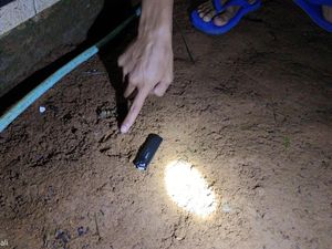 Geger Teror Macan Tutul di Gunung Sawal Ciamis Geger Teror Macan Tutul di Gunung Sawal Ciamis