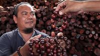 Melihat Pengolahan Akar Laka yang Bisa Tembus Pasar China dan Taiwan